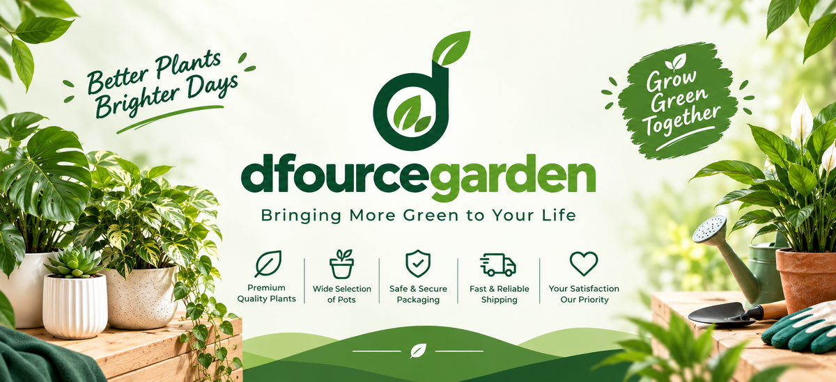 Dfource Garden